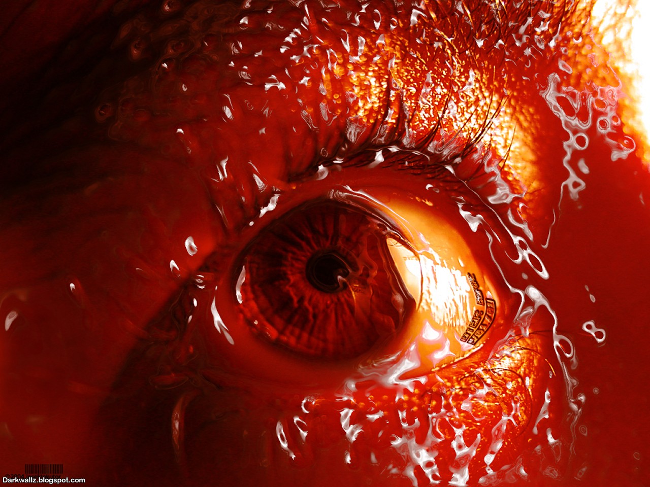 bloody wallpaper,red,eye,iris,close up,organ