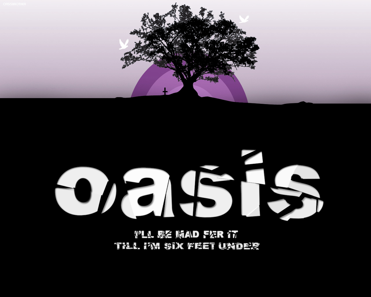 oasis wallpaper,logo,font,text,tree,graphic design