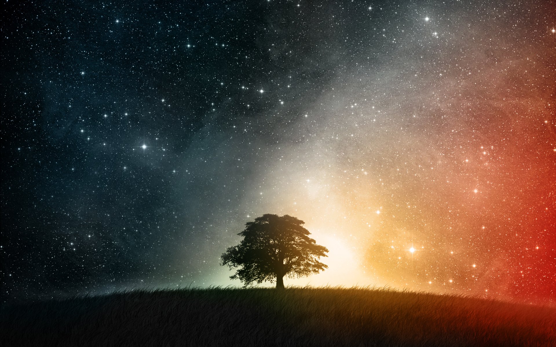 cosmos wallpaper,sky,nature,atmospheric phenomenon,atmosphere,tree