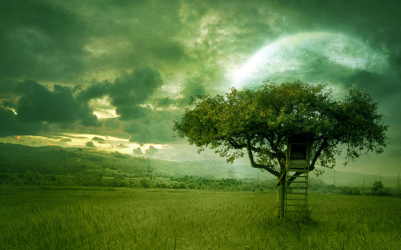 kumpulan wallpaper,green,natural landscape,nature,sky,grassland