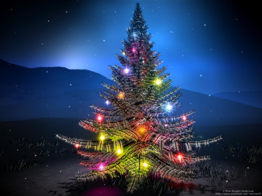 fondo de pantalla de kumpulan,árbol de navidad,naturaleza,decoración navideña,árbol,cielo