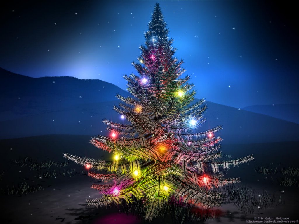 kumpulan wallpaper,christmas tree,nature,christmas decoration,tree,sky