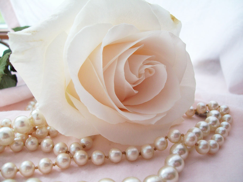 papel pintado perla,perla,rosado,piedra preciosa,collar,suministro de ceremonia de boda