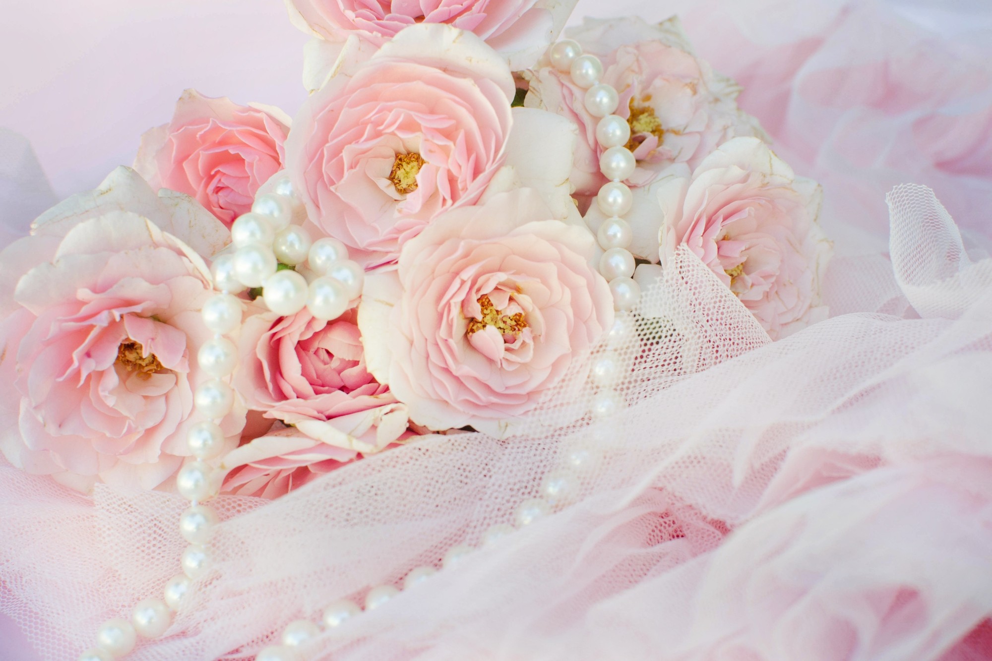 pearl wallpaper,pink,flower,garden roses,bouquet,cut flowers