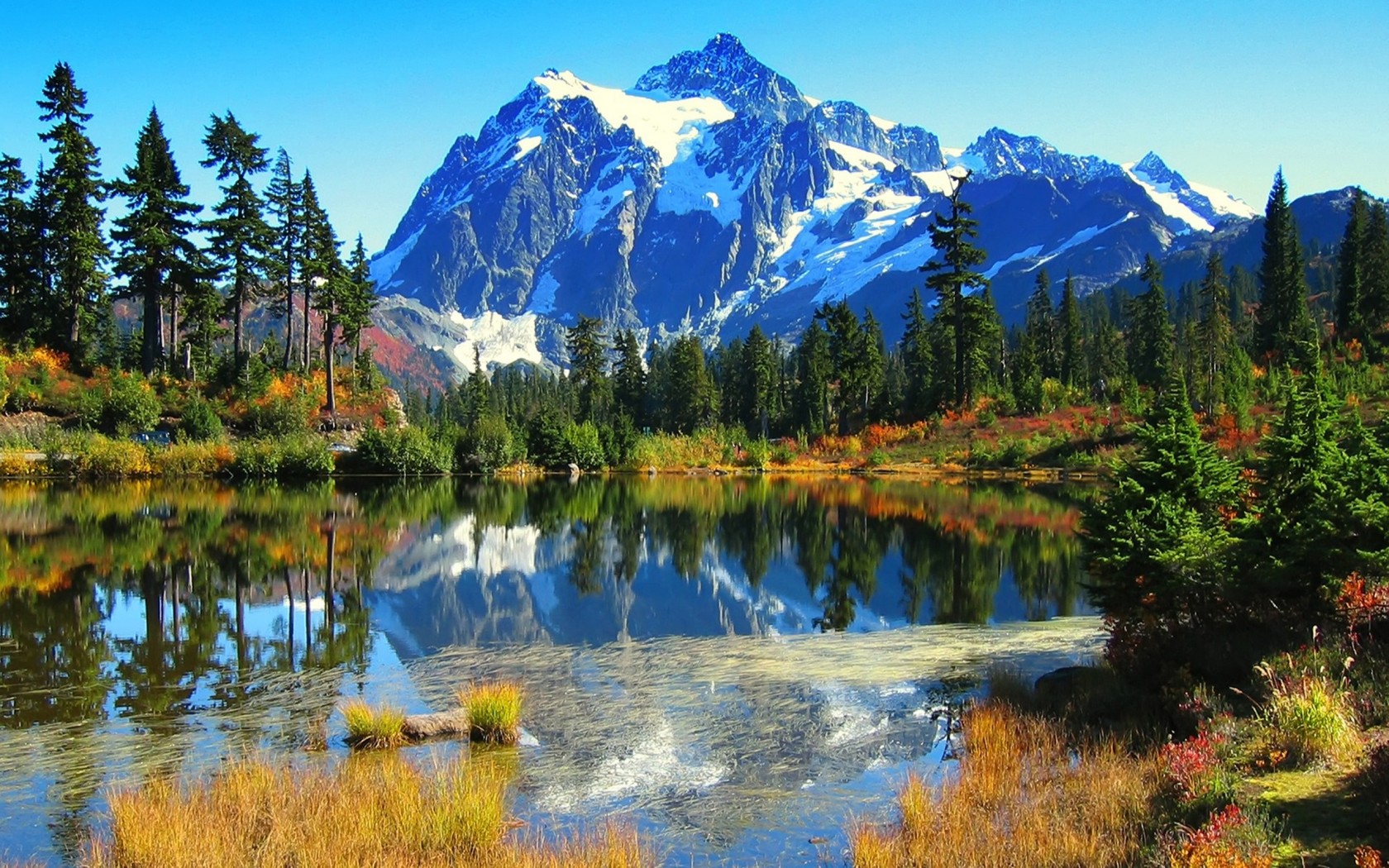 paisaje fondos de pantalla hd,paisaje natural,naturaleza,reflexión,montaña,alerce larix lyalliisubalpine