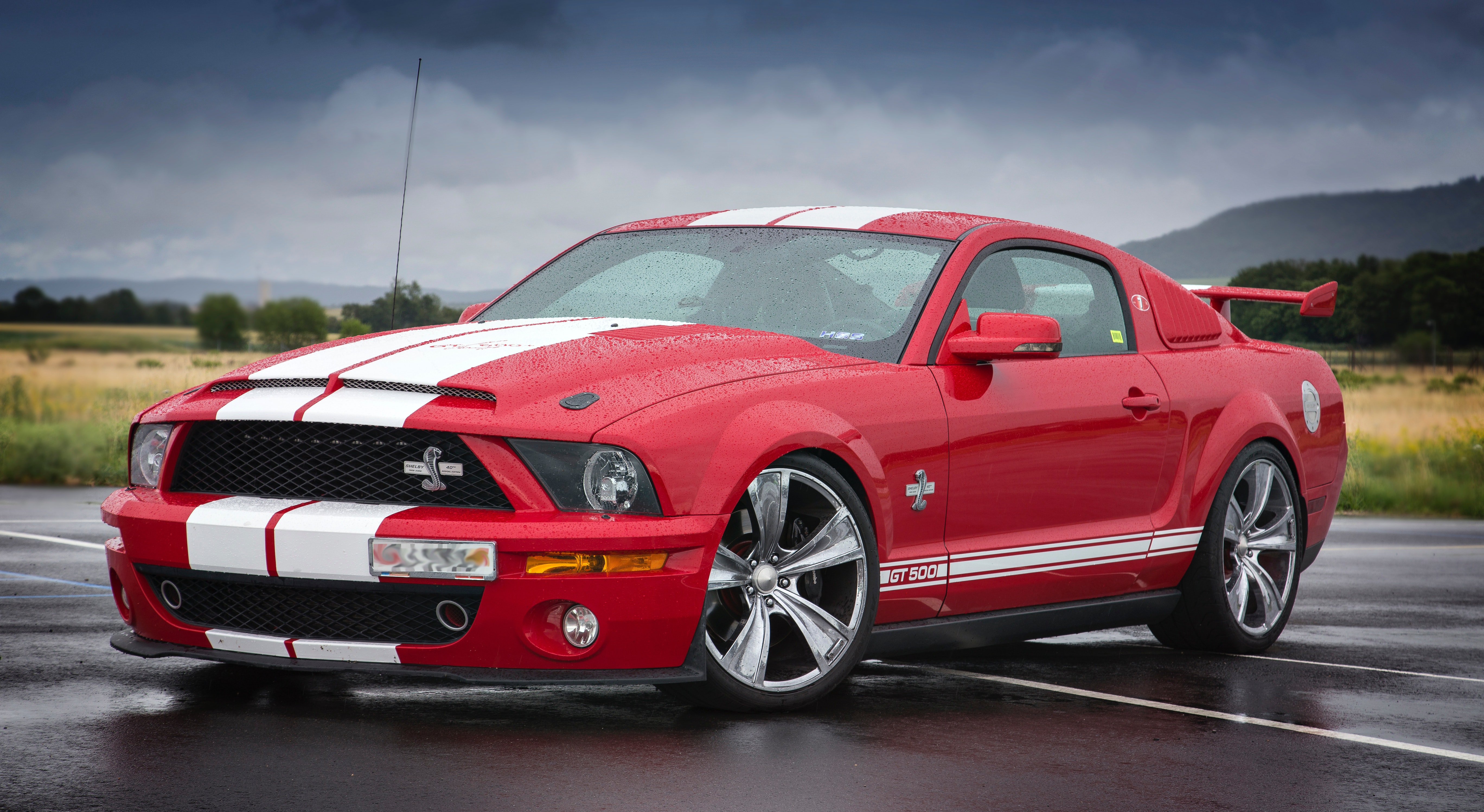 auto wallpaper,land vehicle,vehicle,car,motor vehicle,shelby mustang