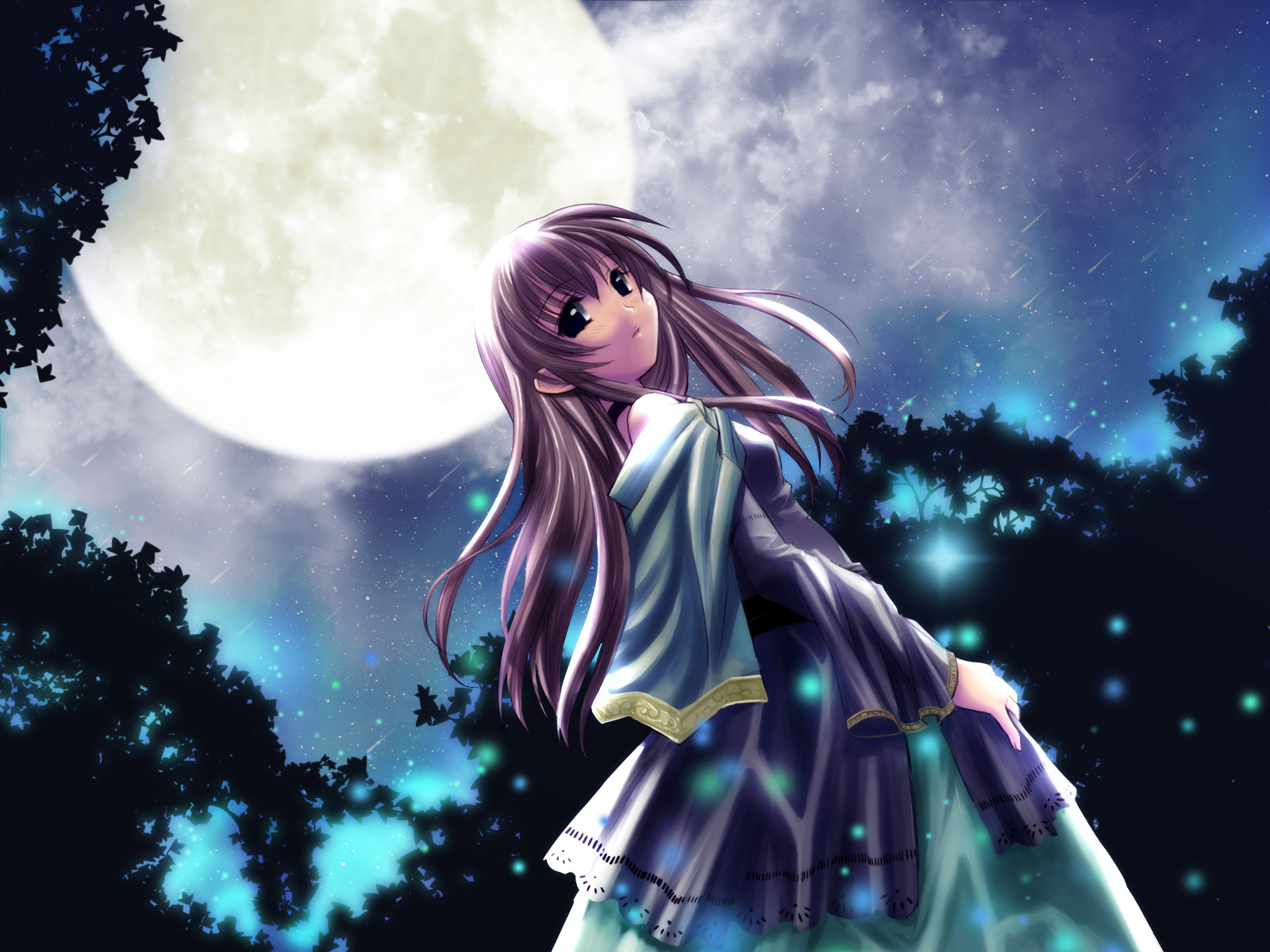 awesome anime wallpapers,sky,cg artwork,anime,fictional character,long hair