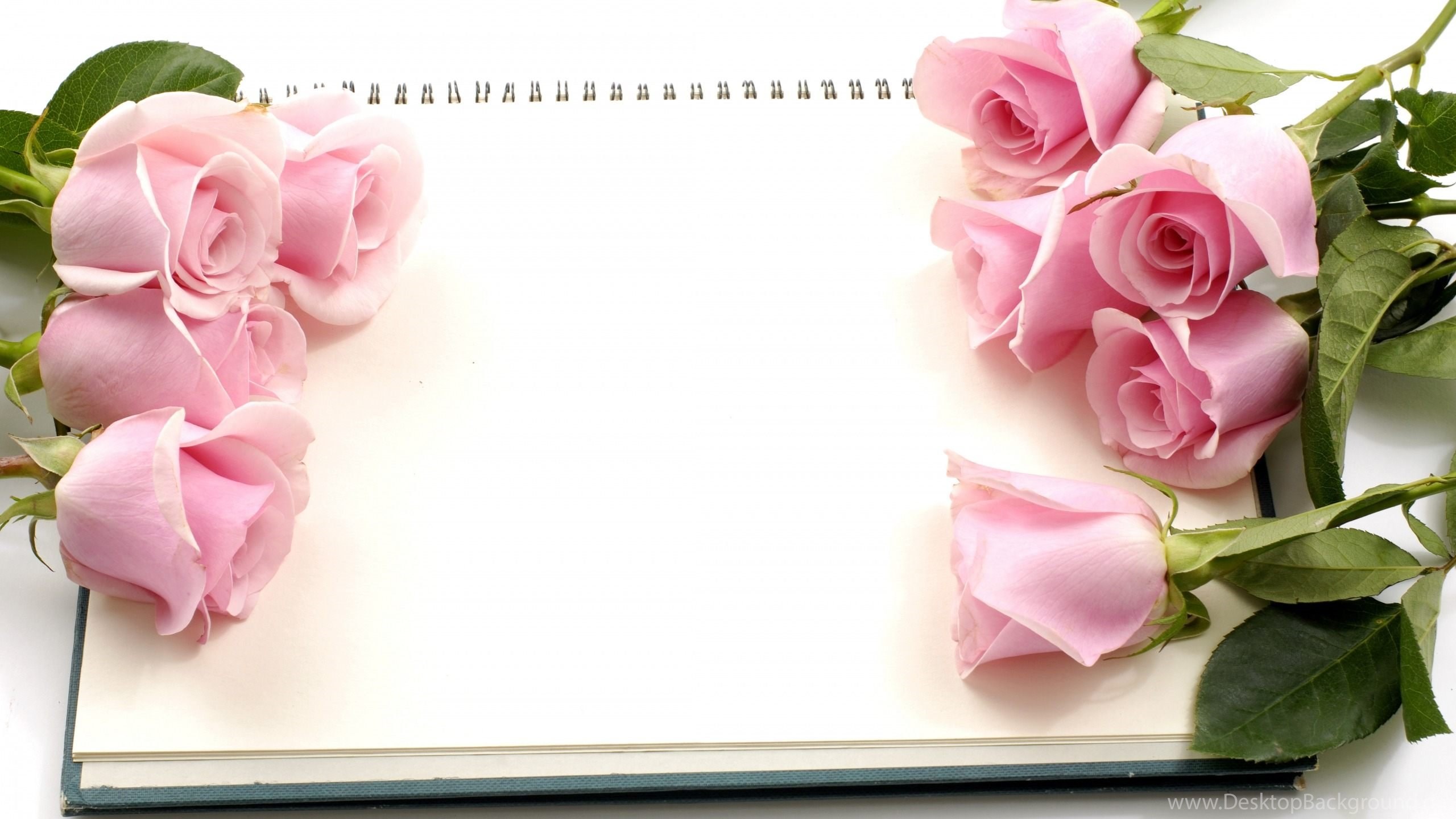 happy anniversary wallpaper,pink,flower,petal,rose,artificial flower
