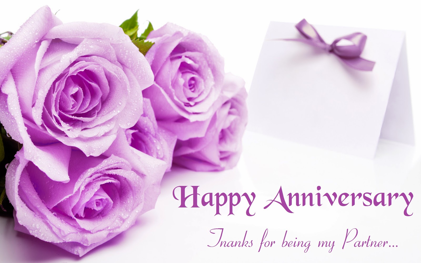happy anniversary wallpaper,purple,garden roses,text,pink,violet