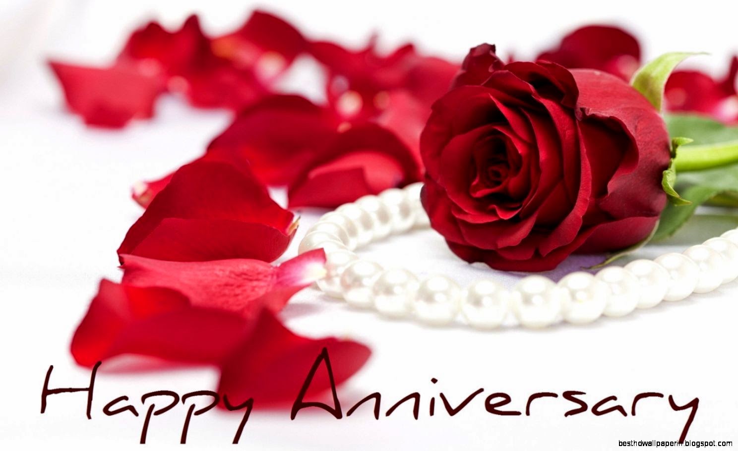 carta da parati buon anniversario,rosso,rose da giardino,rosa,petalo,fiore