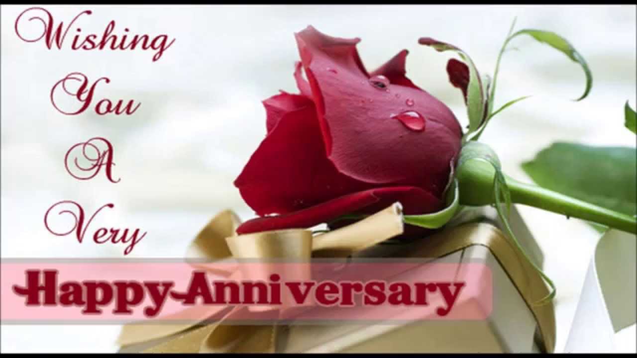 happy anniversary wallpaper,petal,garden roses,valentine's day,flower,rose