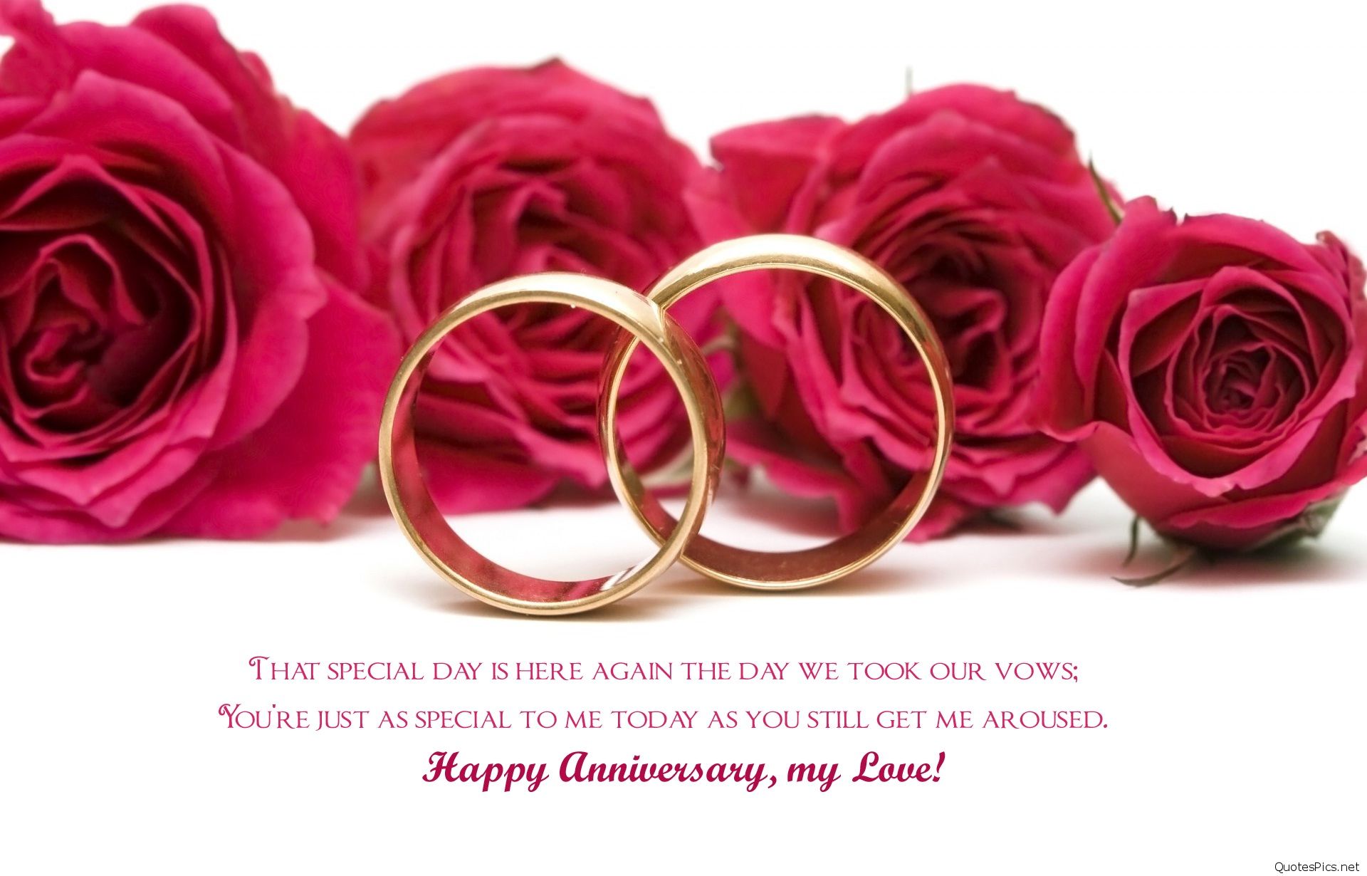 happy anniversary wallpaper,pink,garden roses,text,rose,red