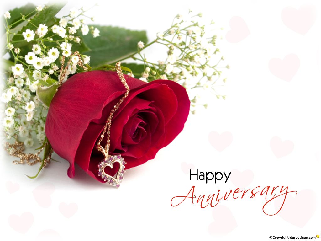 carta da parati anniversario,rosso,san valentino,fiore,amore,pianta