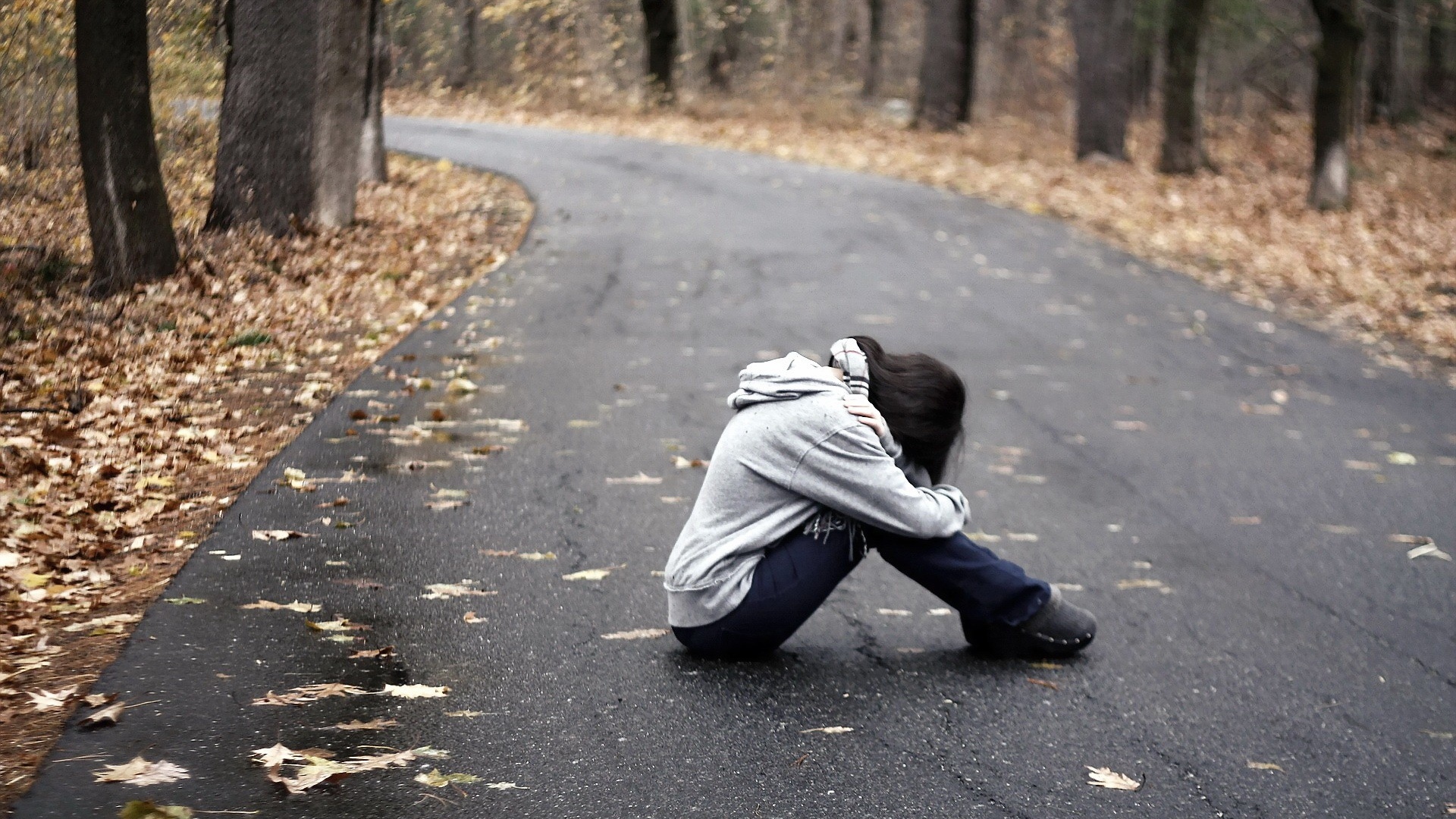 triste fondo de pantalla full hd,árbol,la carretera,fotografía,asfalto,vía pública