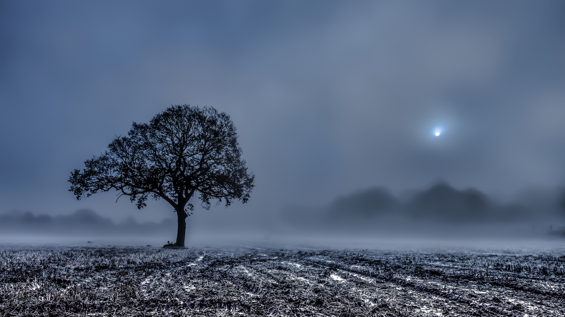 triste fond d'écran full hd,ciel,paysage naturel,la nature,arbre,atmosphère