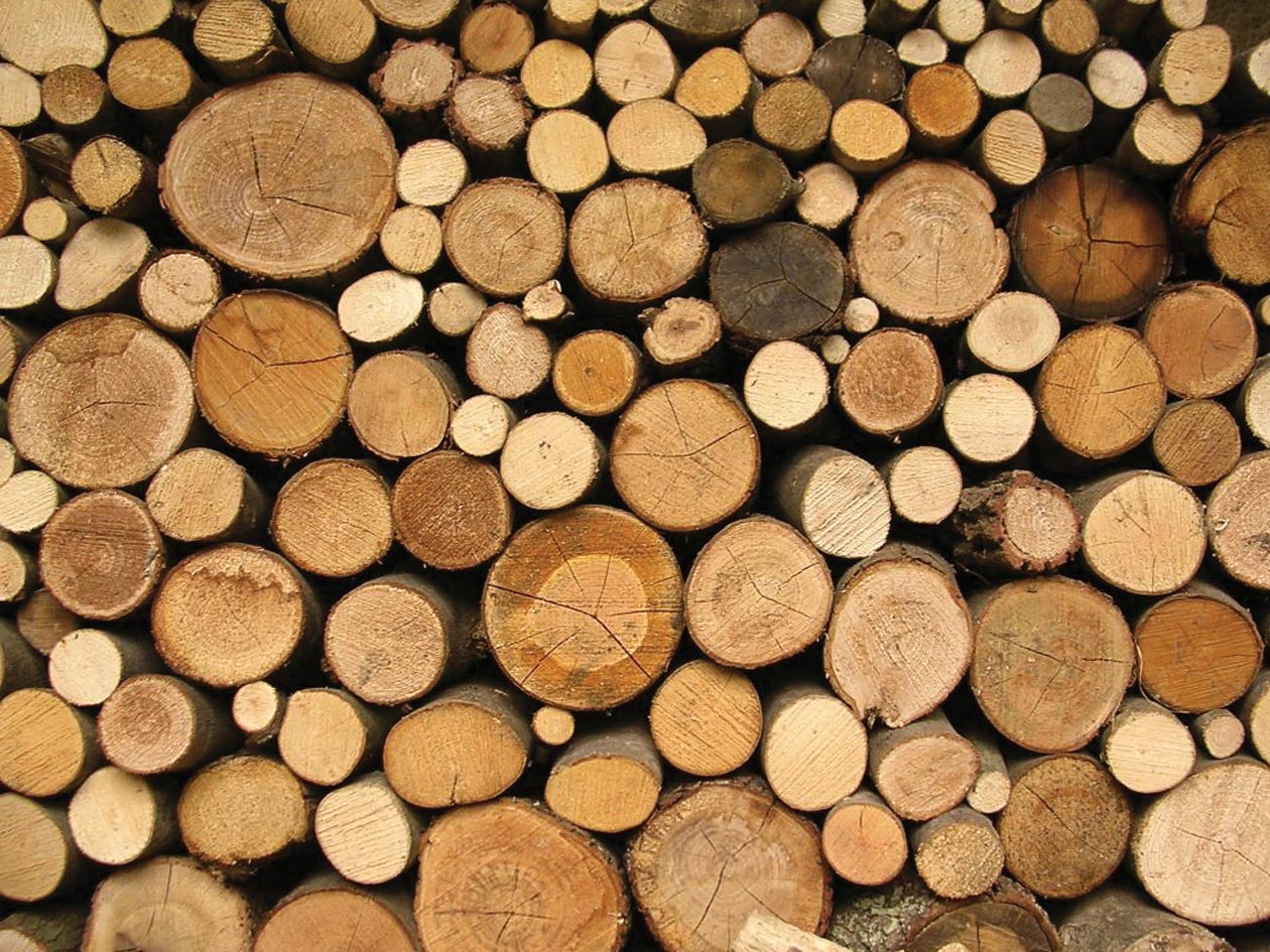 log wallpaper,wood,logging,lumber,trunk,tree