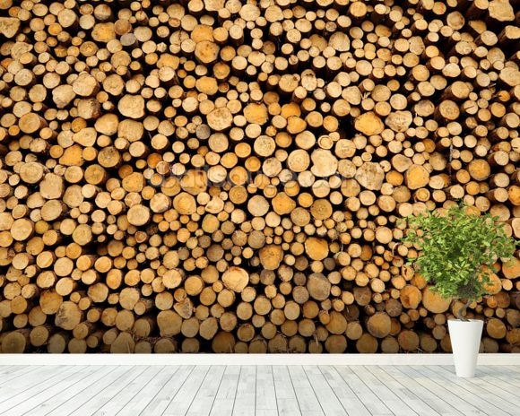 log wallpaper,wood,plant,tree,soil,pattern