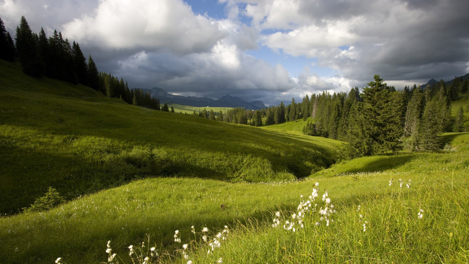 sfondi meravigliosi,paesaggio naturale,natura,prateria,prato,cielo