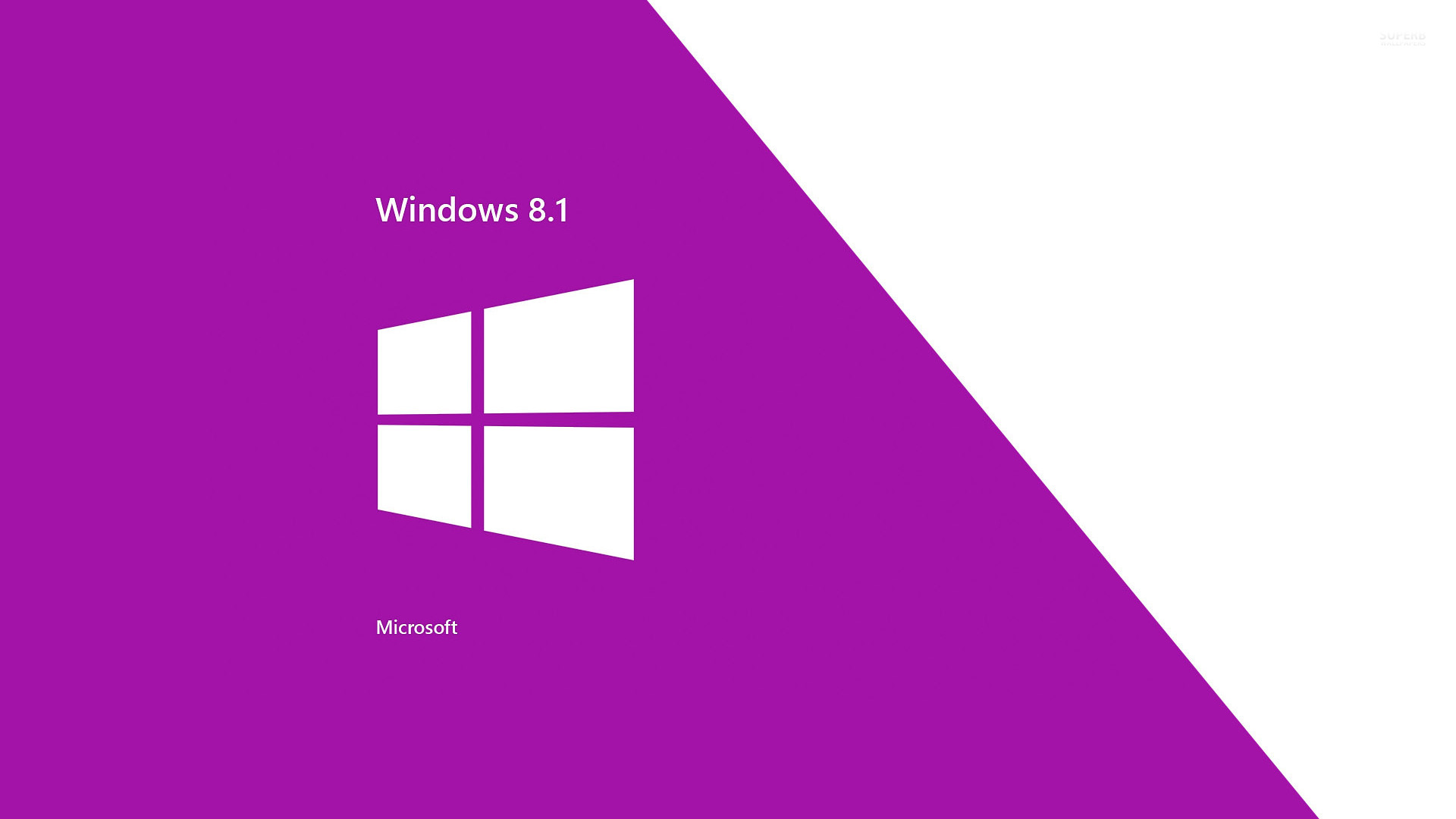 fondo de pantalla de windows 8.1,violeta,púrpura,texto,línea,fuente