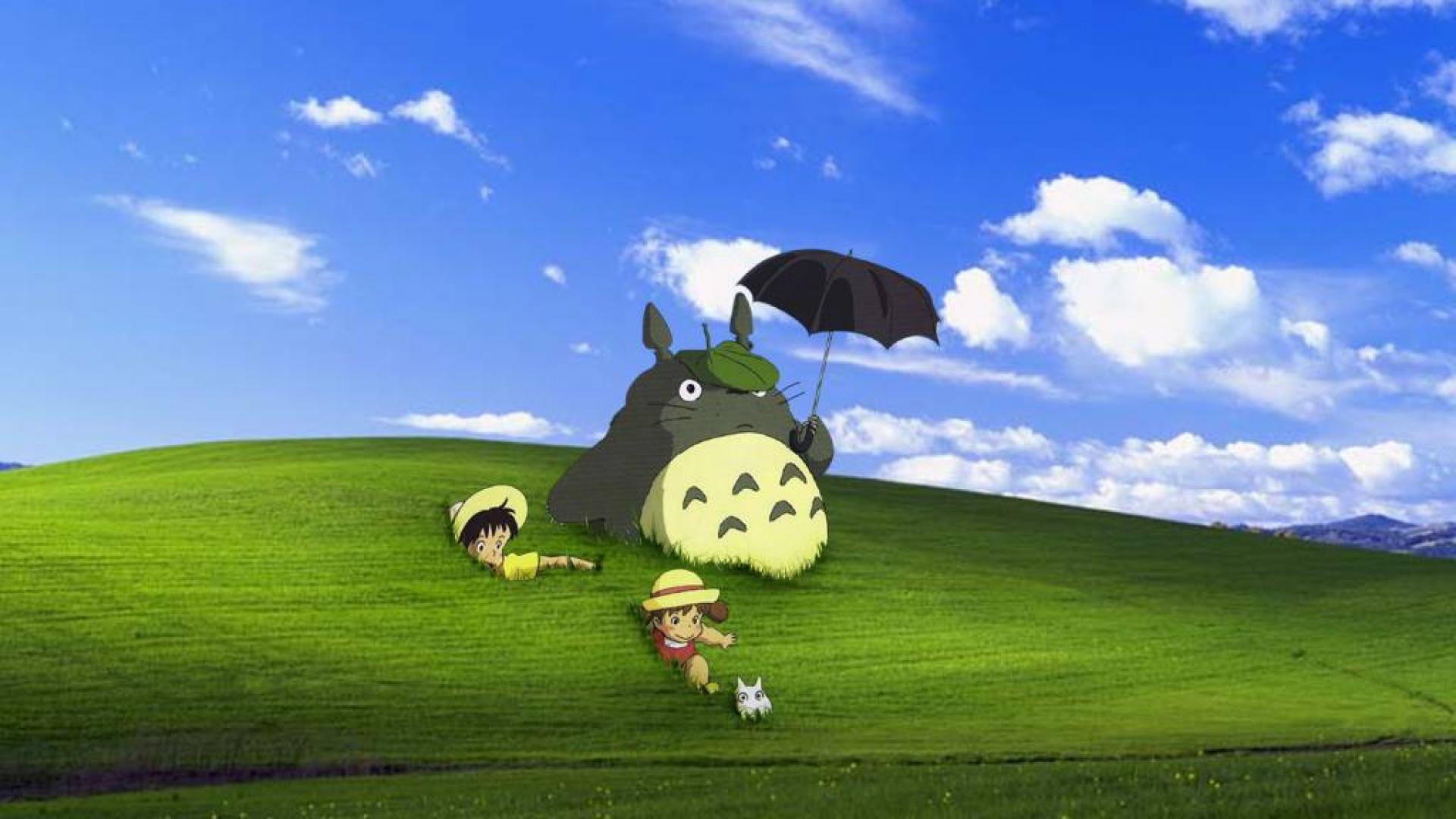 fond d'écran totoro,prairie,dessin animé,ciel,dessin animé,herbe