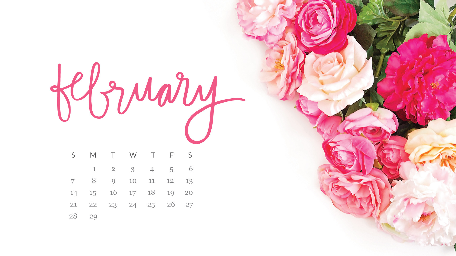 february wallpaper,pink,garden roses,font,flower,calendar