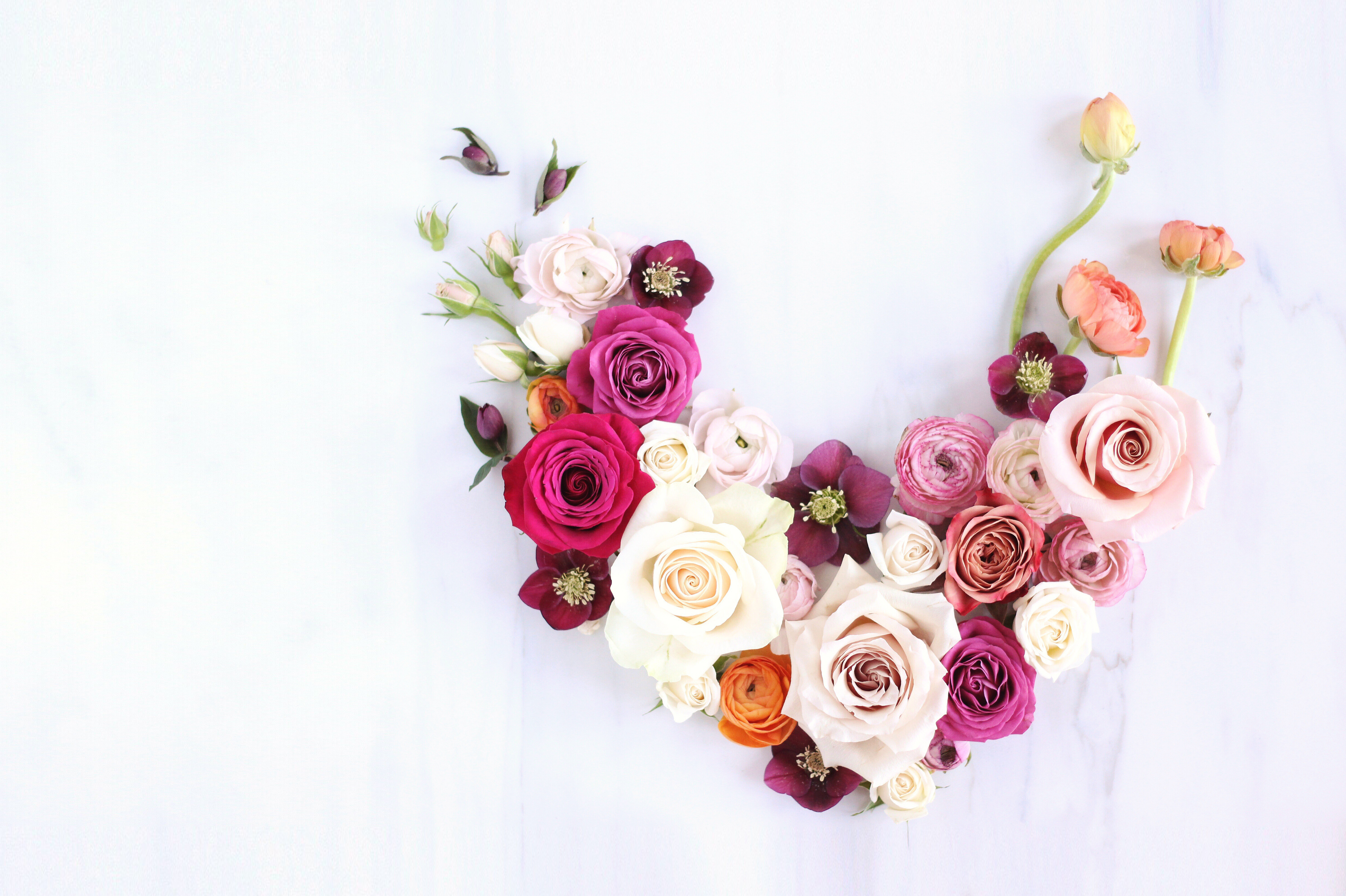 carta da parati di febbraio,rosa,tagliare i fiori,fiore,rosa,mazzo