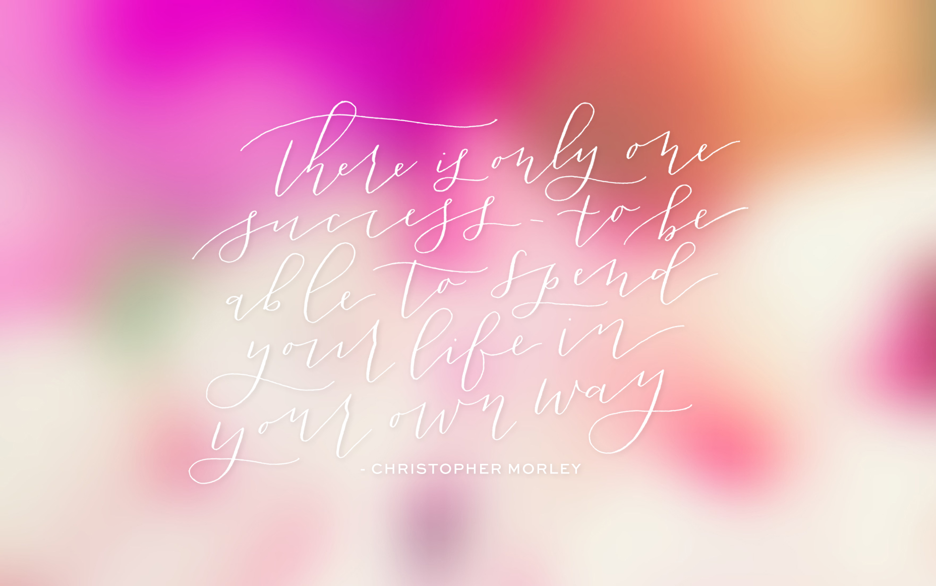 february wallpaper,pink,text,font,magenta,purple