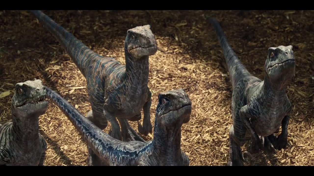 jurassic world wallpaper,dinosaur,velociraptor,terrestrial animal,adaptation,extinction