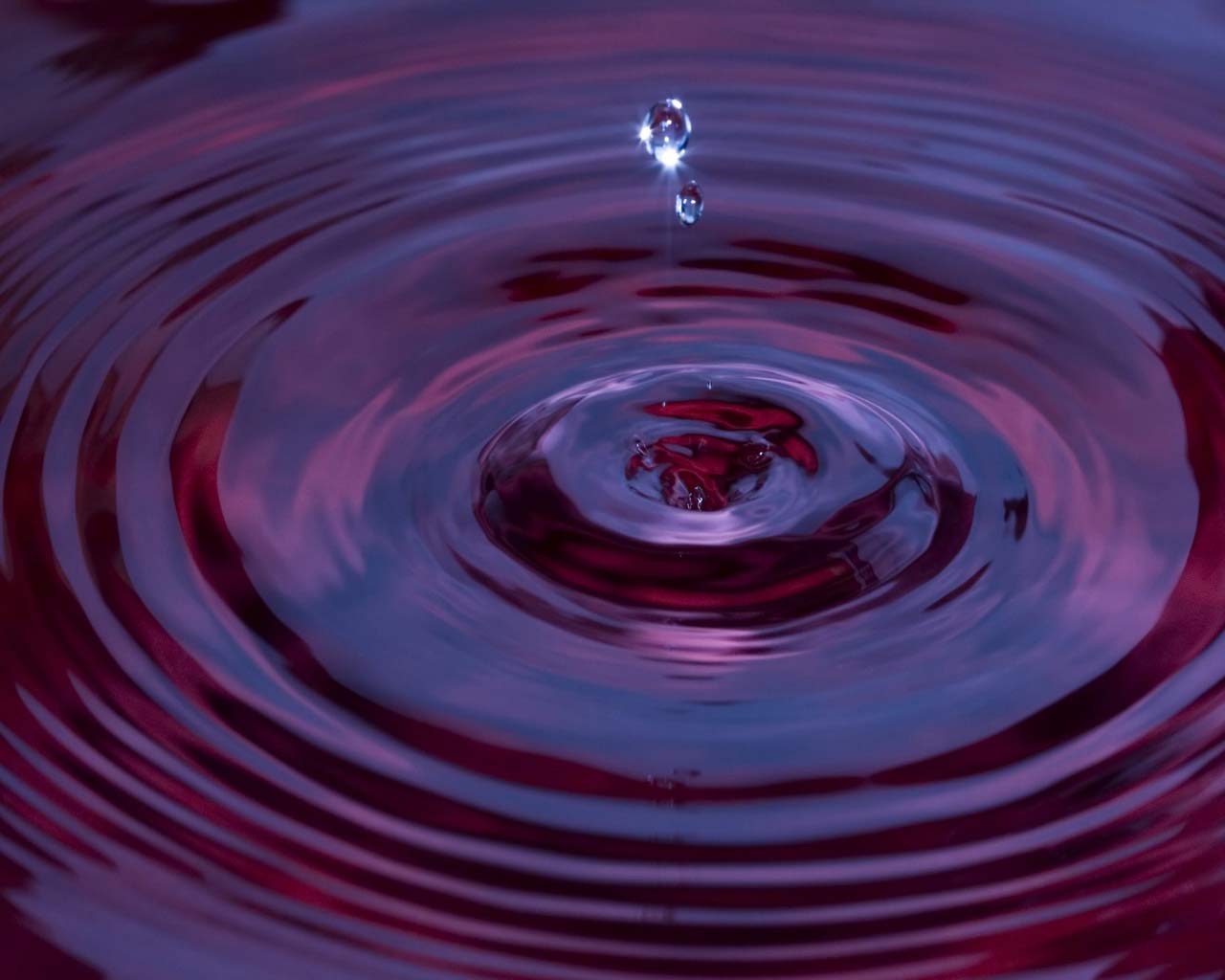 animated wallpaper download,drop,water,liquid,water resources,purple