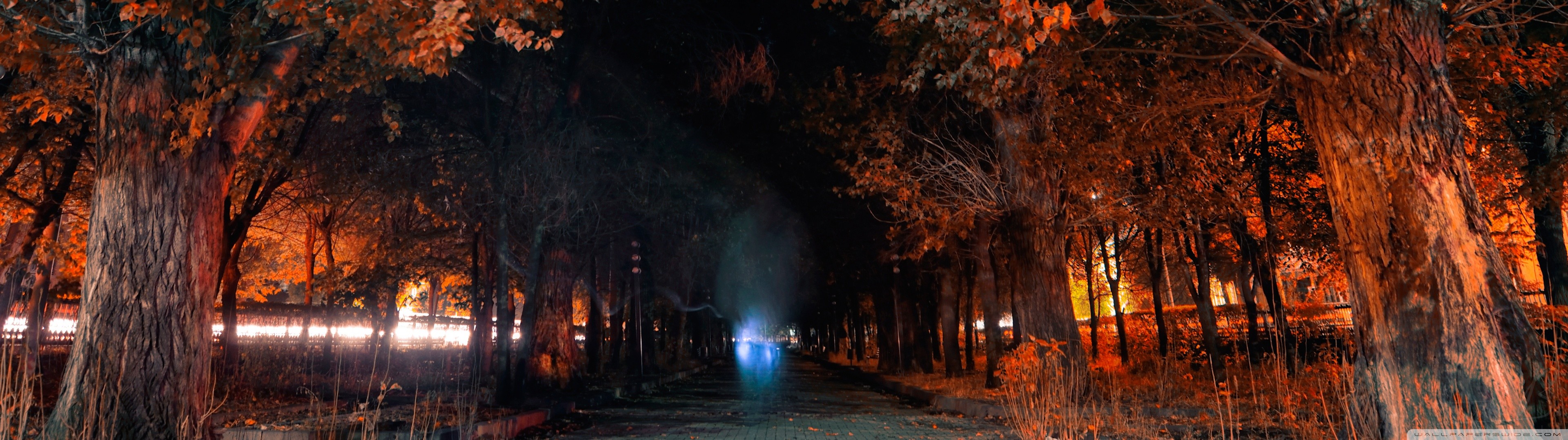 3840x1080 fondo de pantalla hd,naturaleza,árbol,noche,cielo,paisaje natural