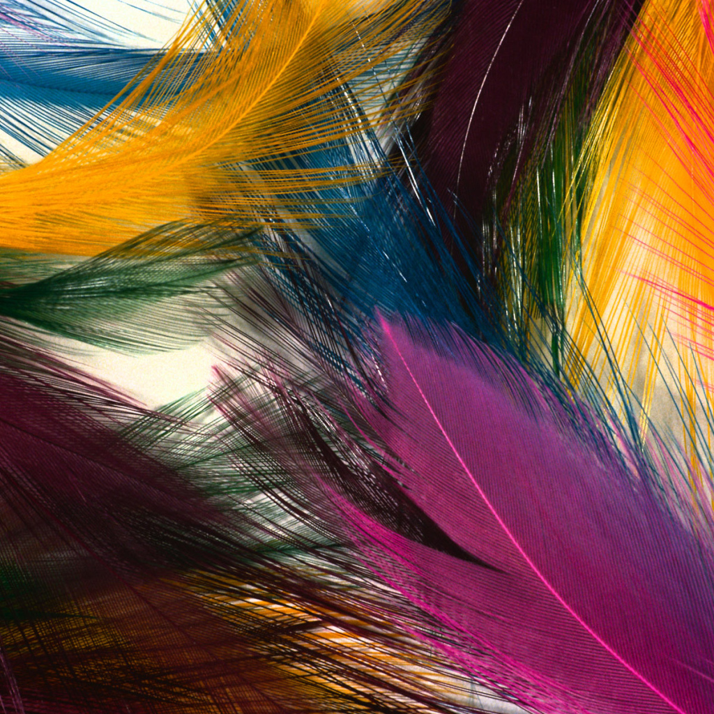 multi wallpaper,hair,hair coloring,feather,colorfulness,graphic design