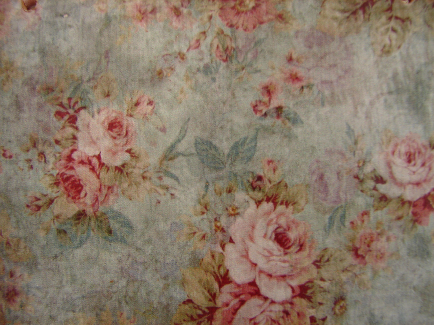 chic wallpaper,pink,floral design,garden roses,pattern,flower