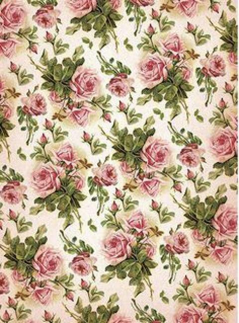 chic wallpaper,pink,pattern,botany,flower,plant