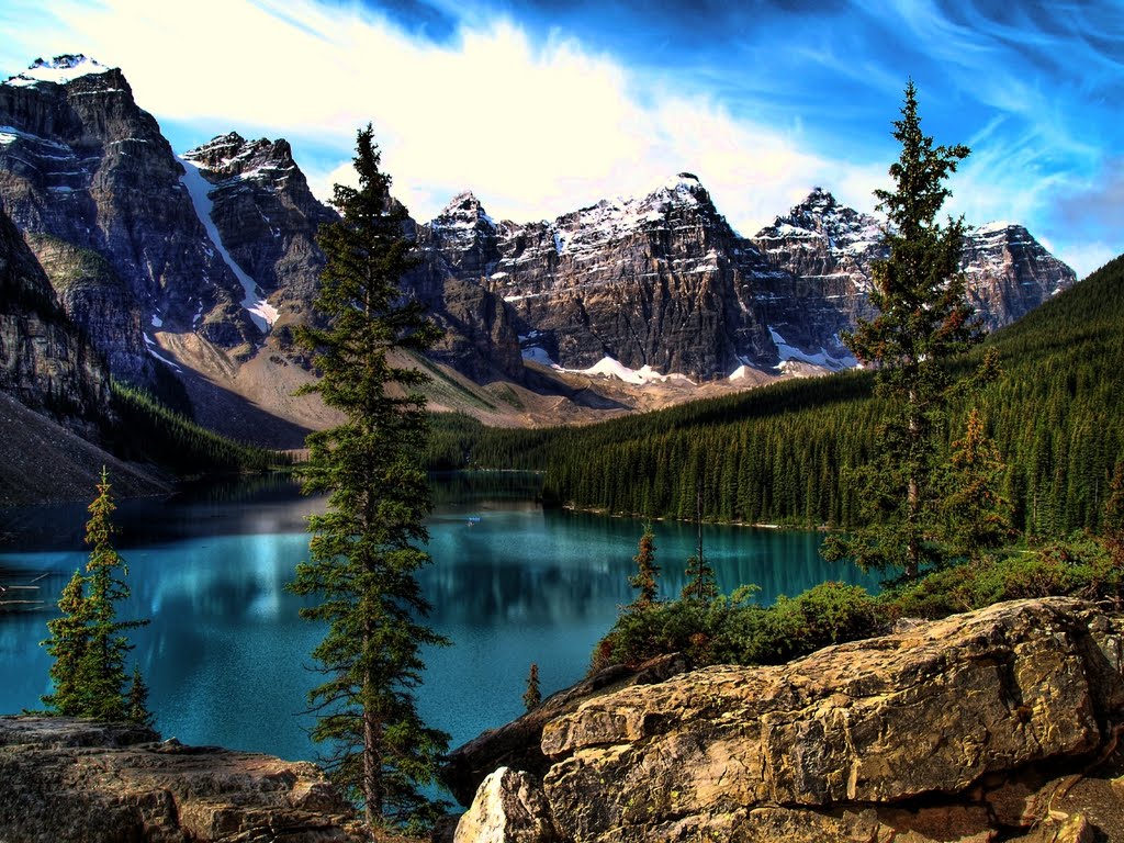 fondo de pantalla 1024x768,paisaje natural,naturaleza,montaña,alerce larix lyalliisubalpine,tarn