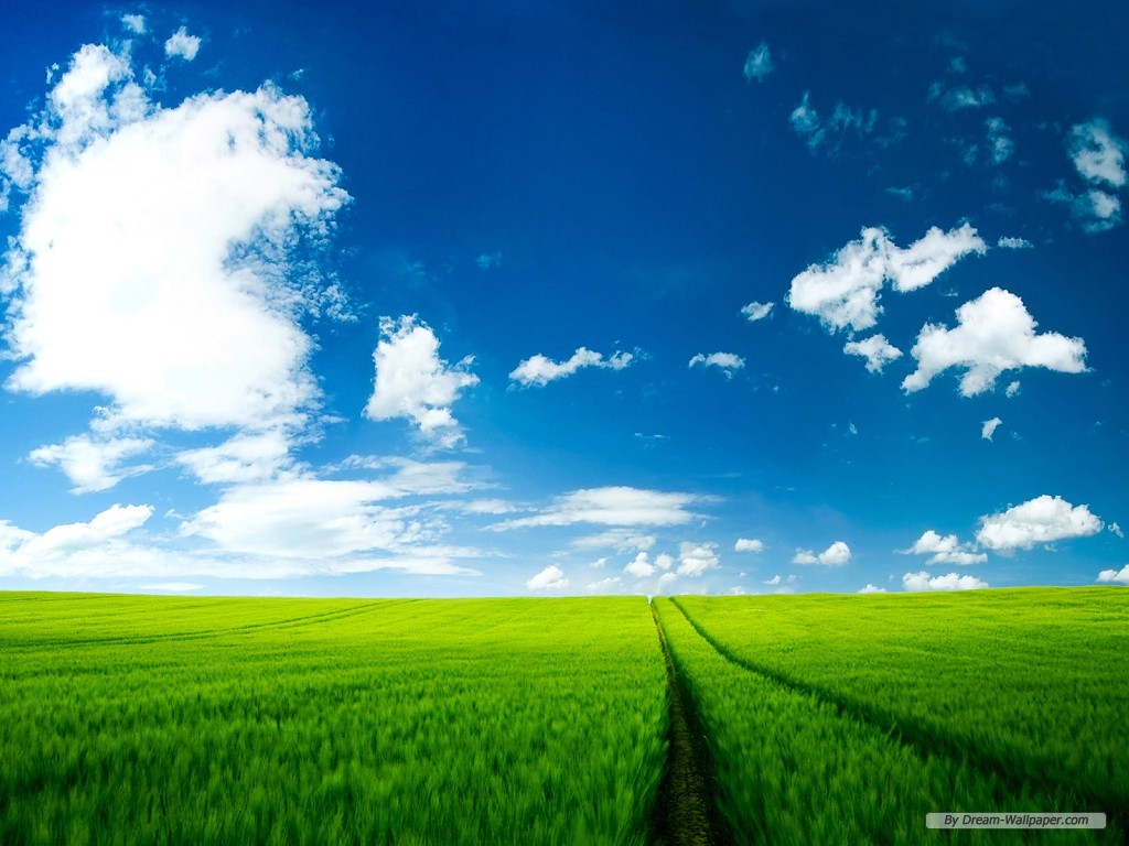 carta da parati 1024x768,cielo,paesaggio naturale,campo,natura,prateria