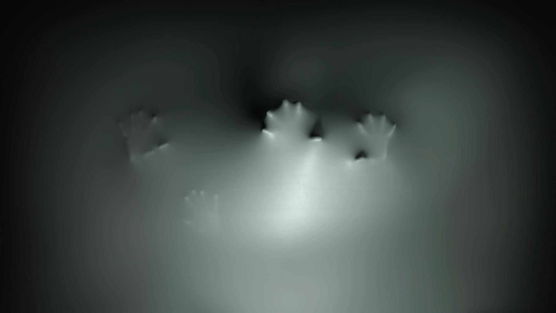 fantasma de pantalla en vivo,blanco,negro,fotografía monocroma,fotografía,en blanco y negro