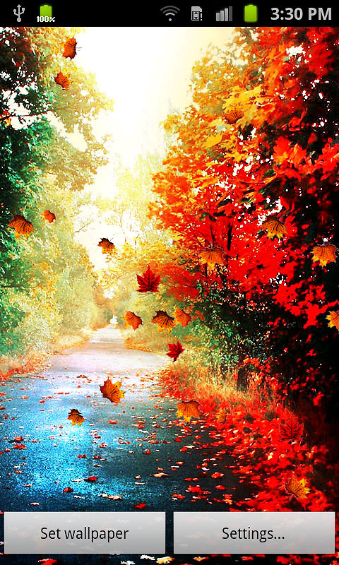 herbst live wallpaper,rot,natürliche landschaft,baum,himmel,blatt