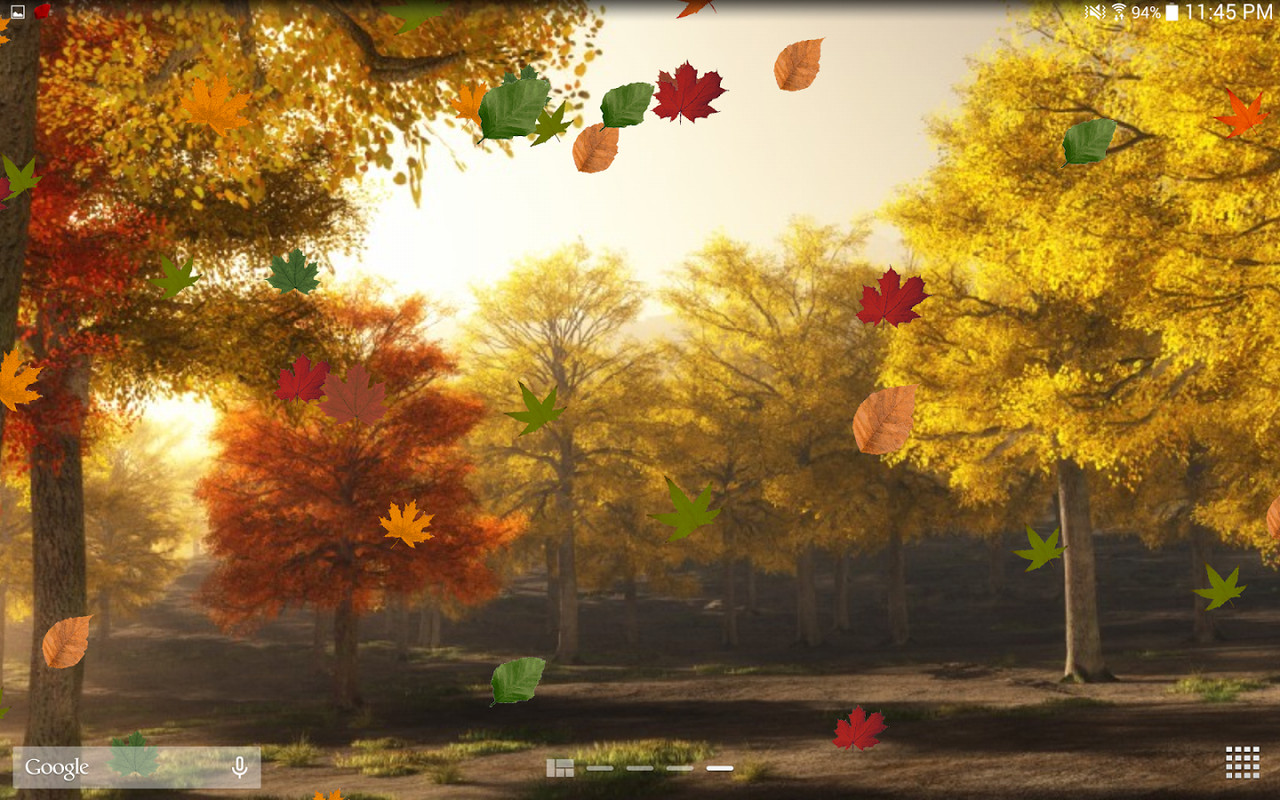 herbst live wallpaper,natur,baum,blatt,himmel,natürliche landschaft