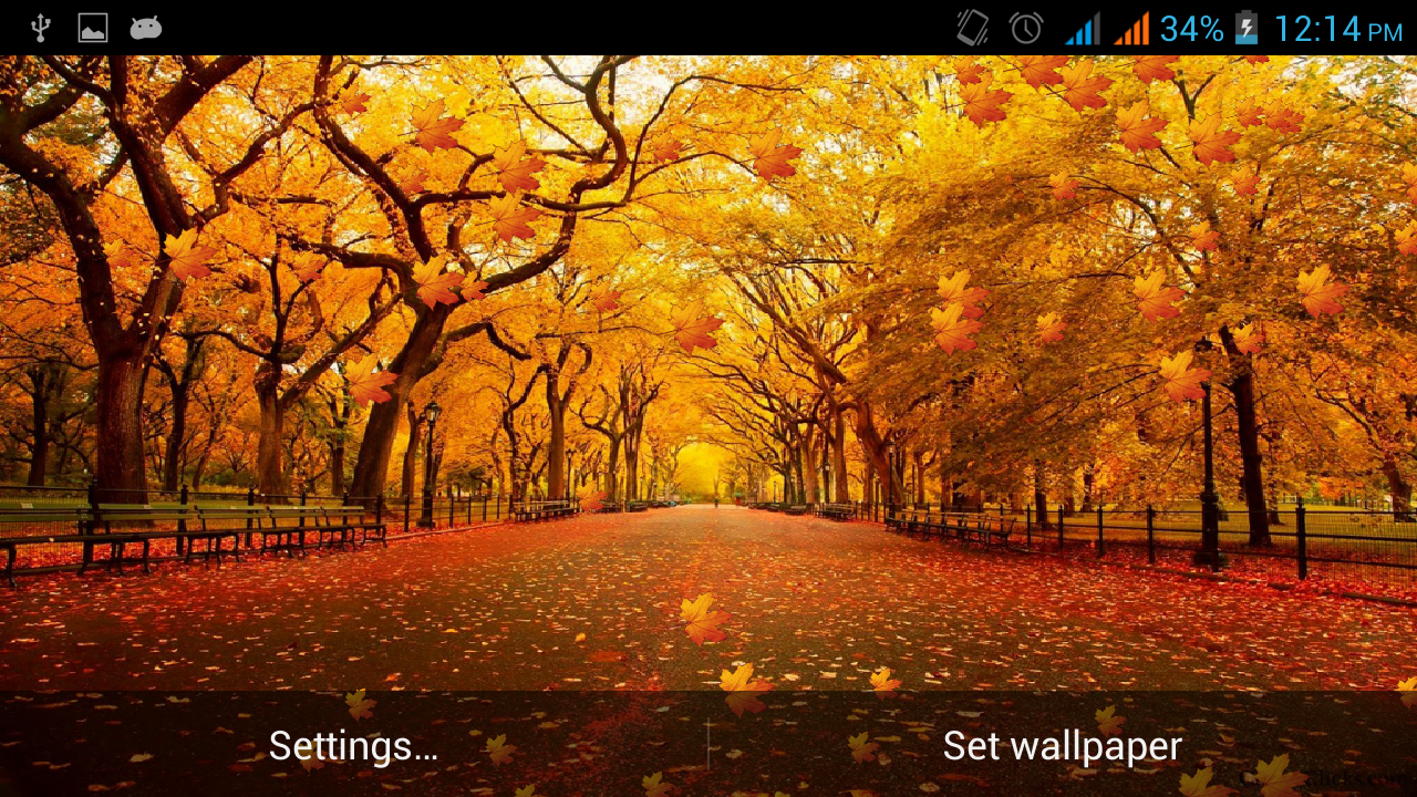 herbst live wallpaper,natürliche landschaft,baum,natur,herbst,blatt