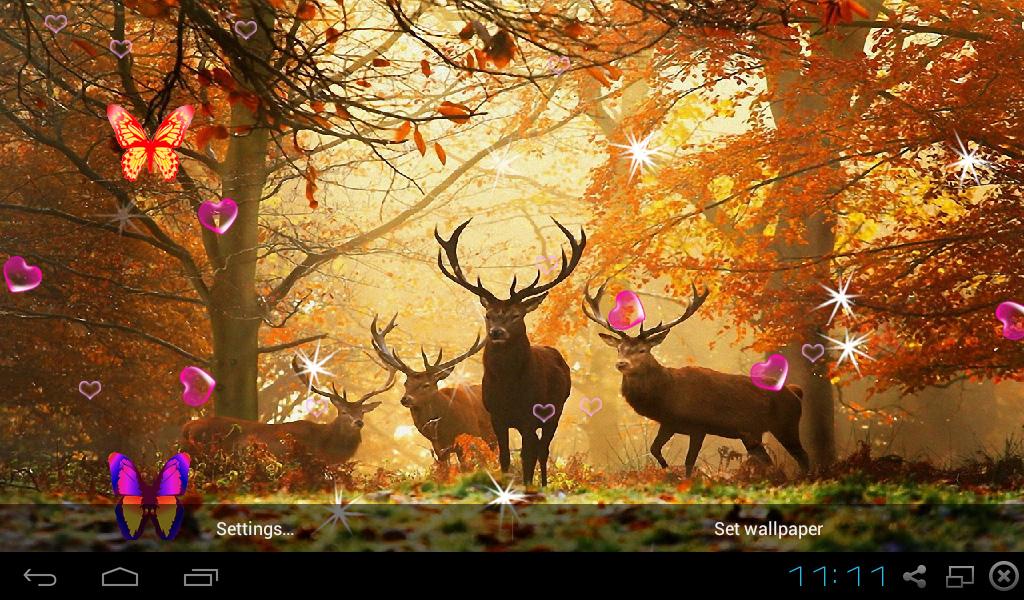 otoño live wallpaper,naturaleza,fauna silvestre,ciervo,bosque,ligero