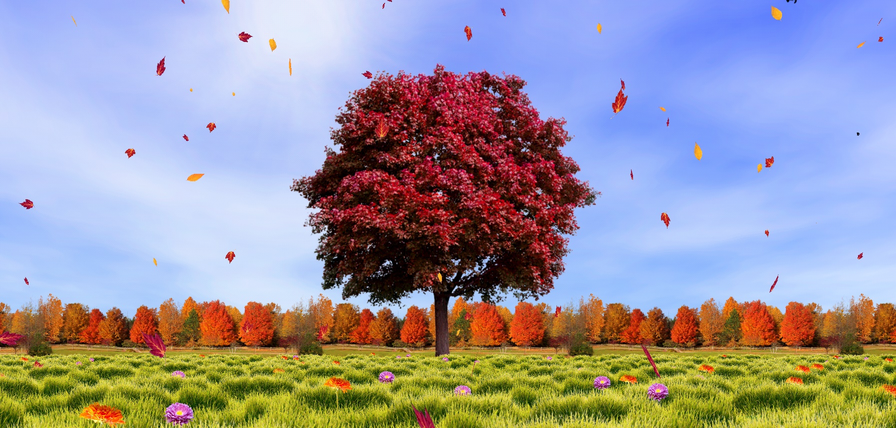 autunno live wallpaper,paesaggio naturale,cielo,natura,albero,prato