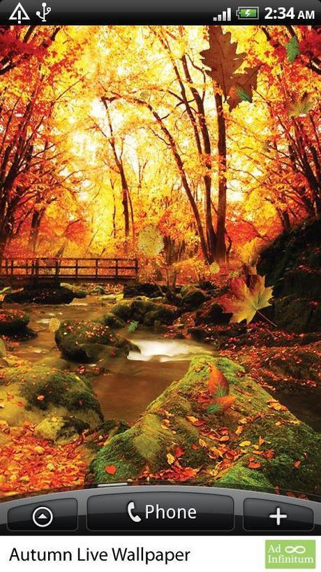 herbst live wallpaper,natürliche landschaft,natur,baum,blatt,herbst