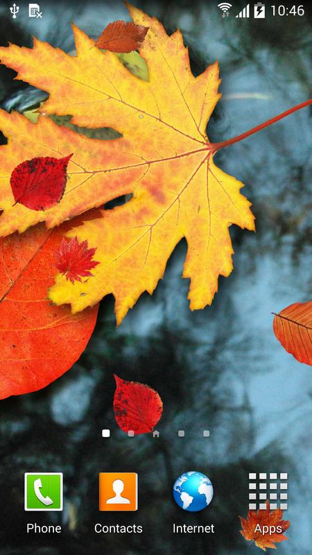 가을 라이브 벽지,잎,나무,단풍잎,빨간,주황색