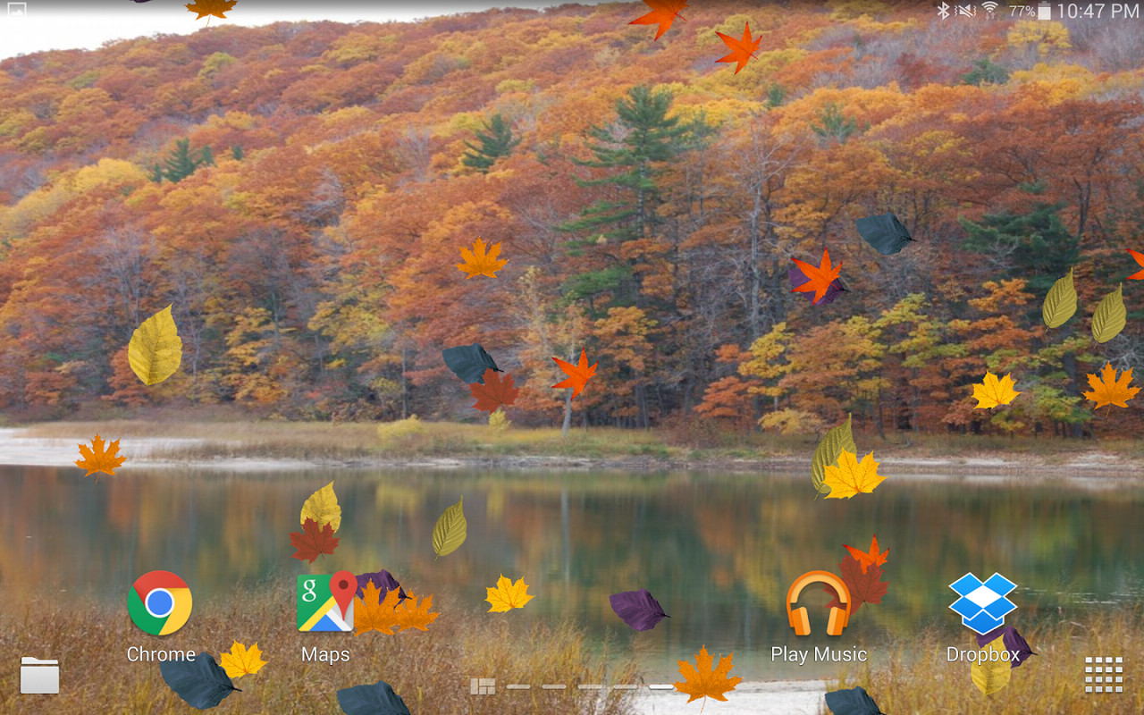 autumn live wallpaper,nature,leaf,reflection,autumn,tree