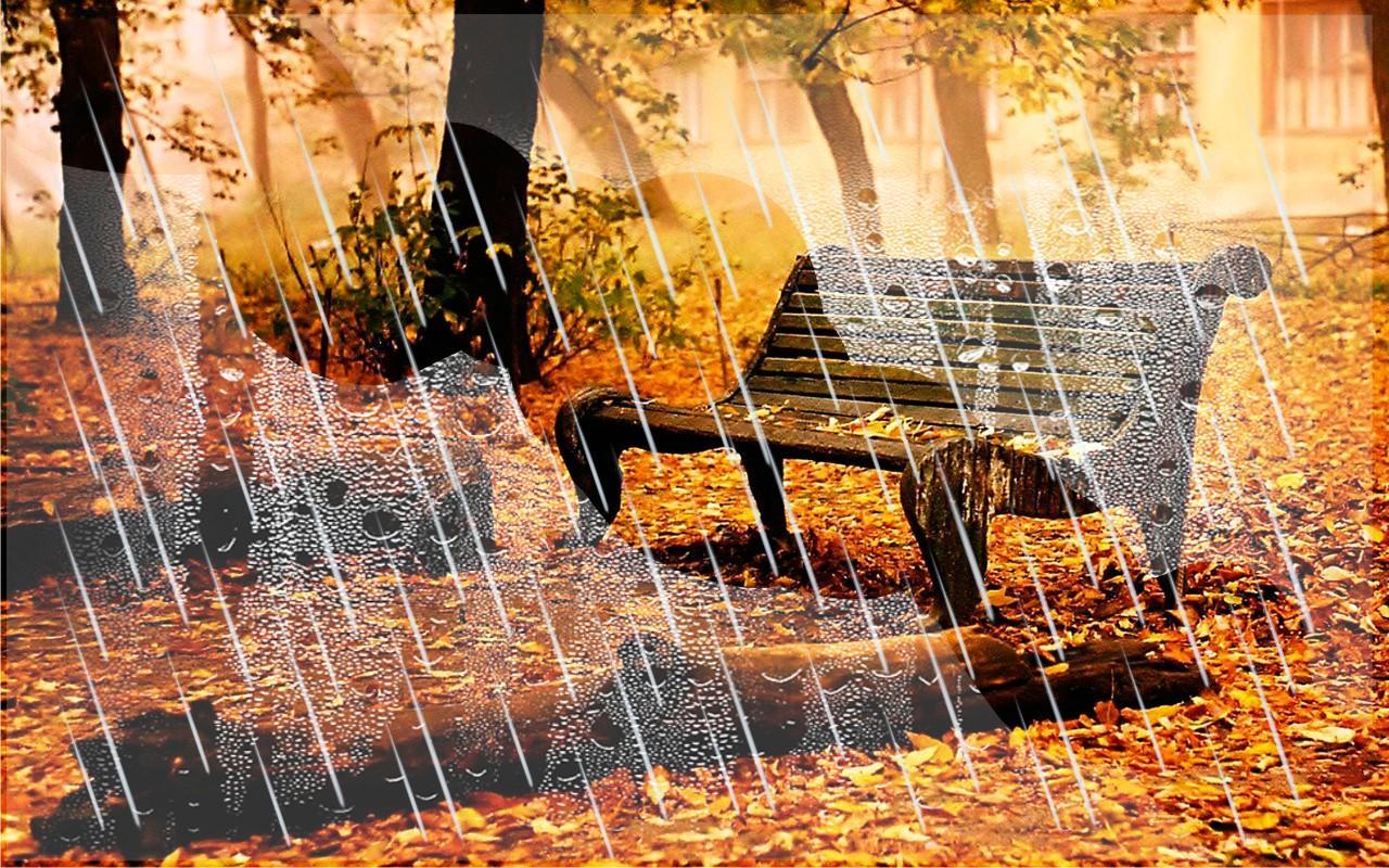 가을 라이브 벽지,주황색,반사,나무,가을,미술