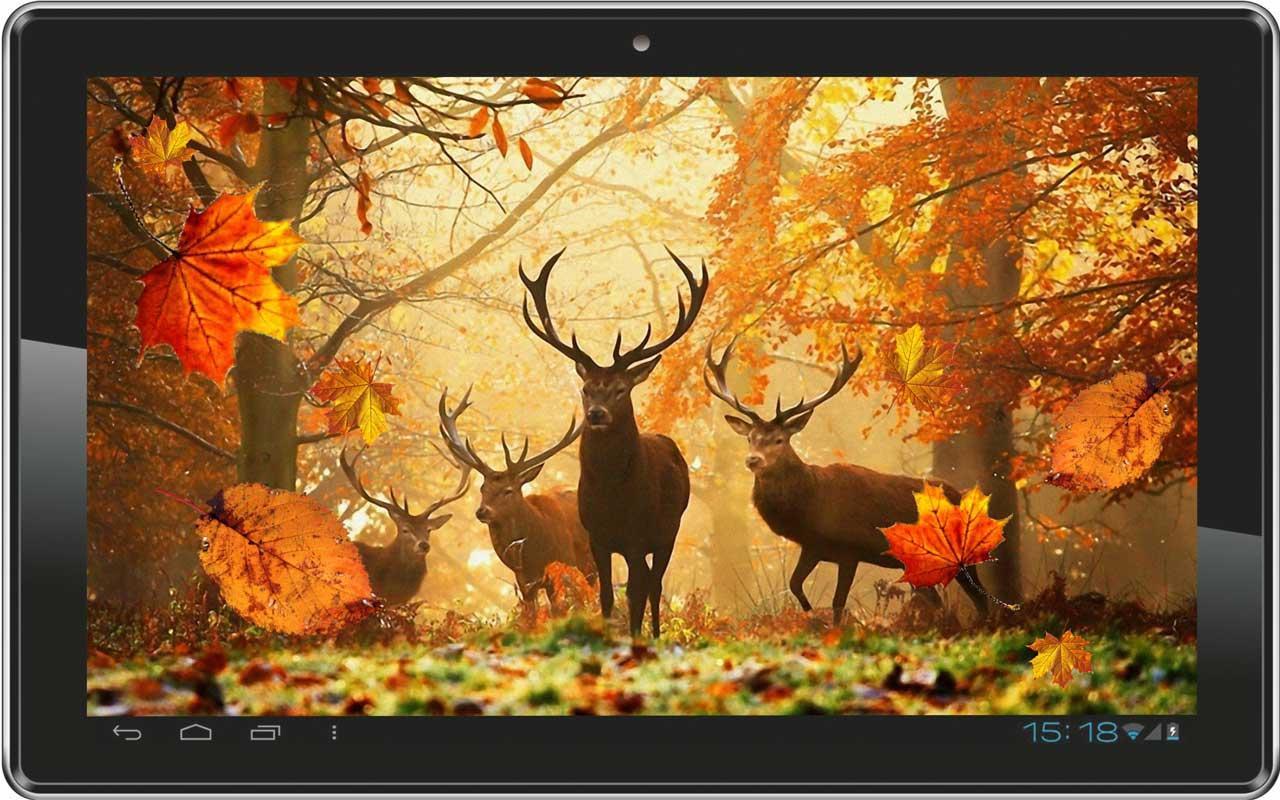 otoño live wallpaper,naturaleza,fauna silvestre,pintura,otoño,bosque