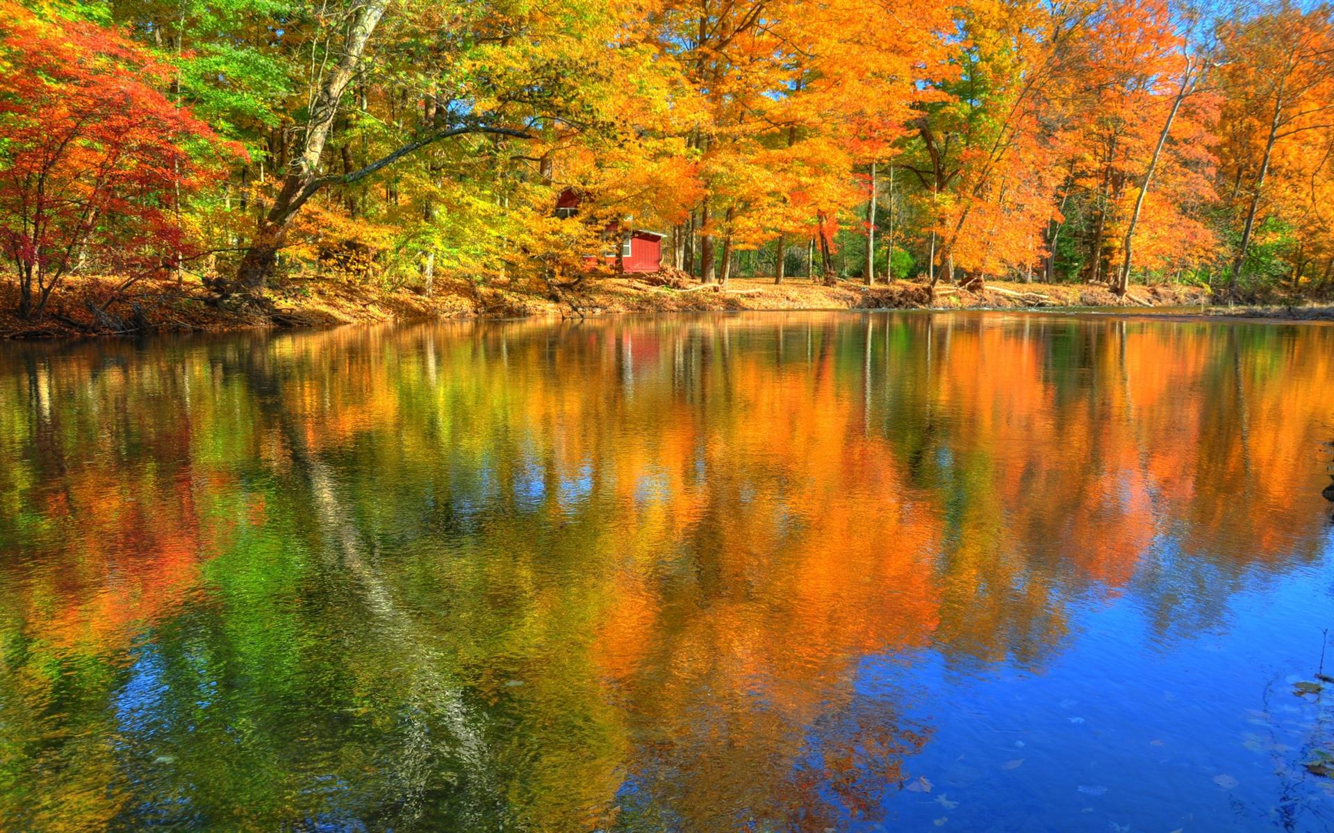 autumn live wallpaper,reflection,nature,natural landscape,body of water,tree