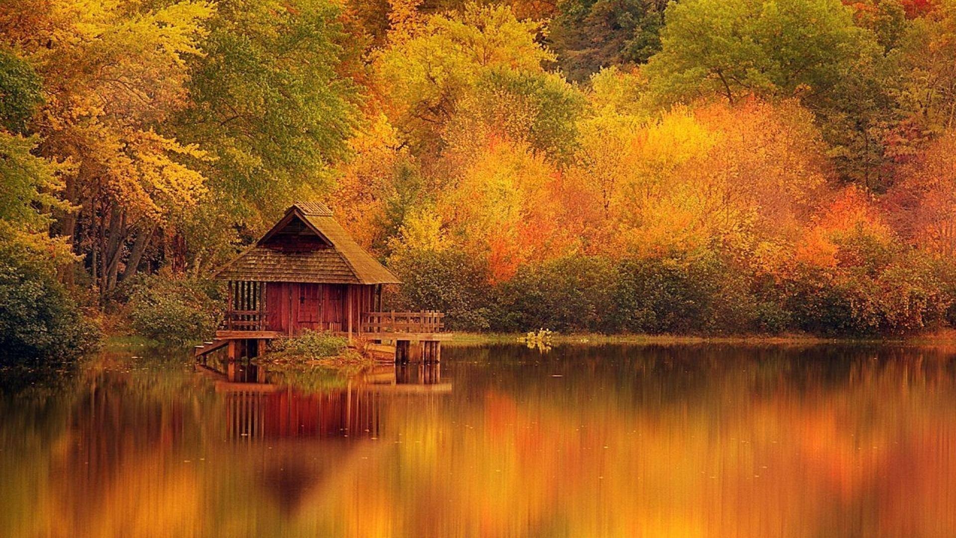 autumn live wallpaper,natural landscape,nature,reflection,painting,leaf