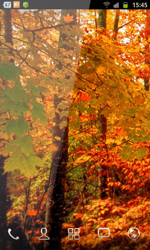 herbst live wallpaper,baum,natur,blatt,herbst,nördlicher hartholzwald