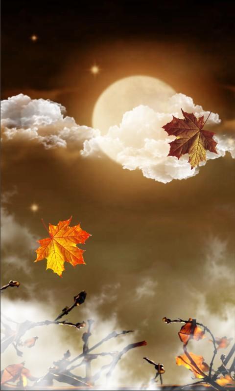 가을 라이브 벽지,하늘,자연,구름,노랑,주황색